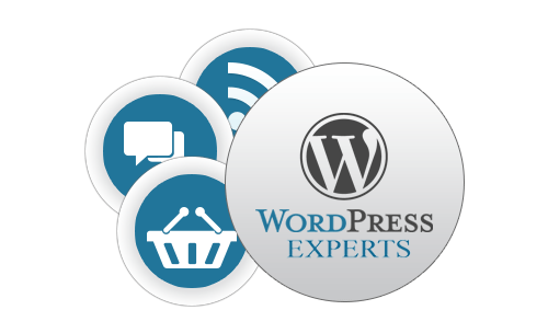 wordpress-customization-services